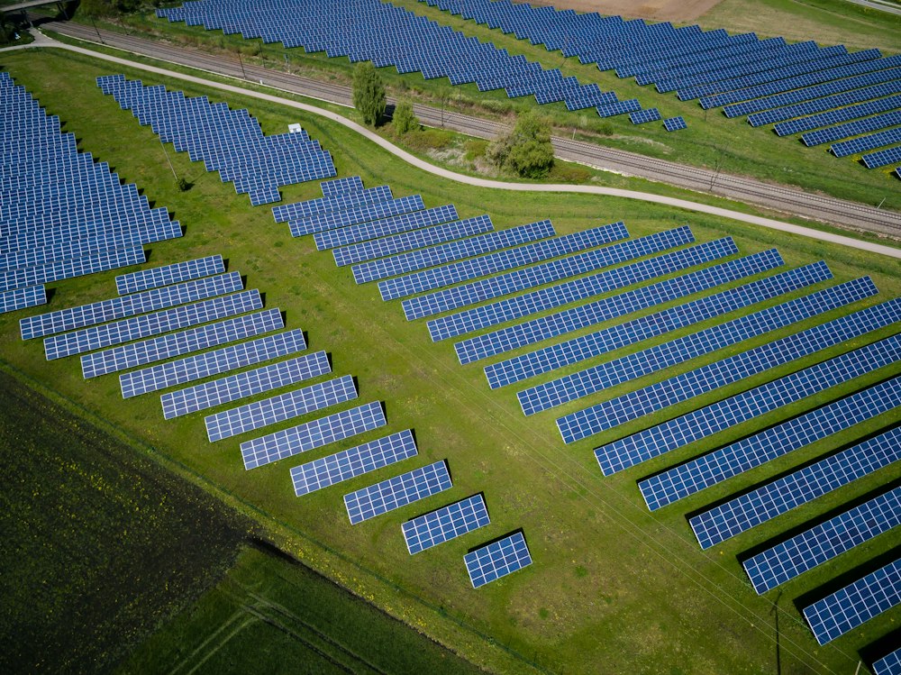 Rows of solar panels in an open field seen from above